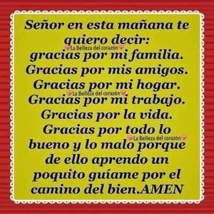 Meet your Posher, Carmen